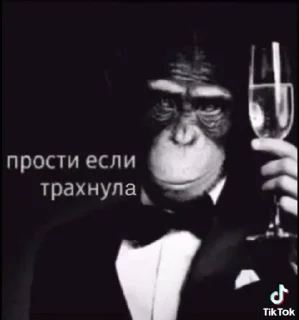 Telegram stiker ☺️ э ну бля  @fStikBot