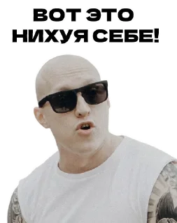 Video sticker 😃 Заточка @zatochka_rap