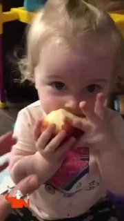 Video sticker 😠 @AlisaPress 2