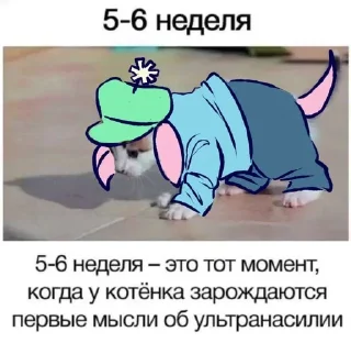 Video sticker 🌟 Сладкие пупсики :: @fStikBot