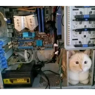 Video sticker 😙 Хуй на руле
