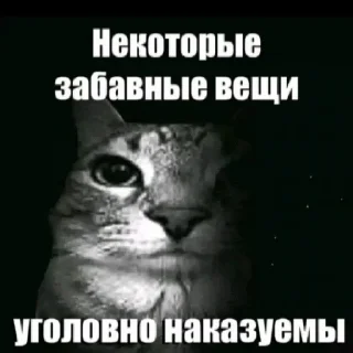 Telegram sticker 😁 Хуй на руле