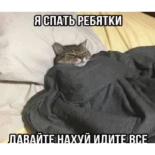 Telegram sticker 😄 Хуй на руле