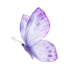 Video sticker 🤩 Фиолетовы...