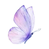 Video sticker 🤩 Фиолетовы...