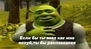 Telegram sticker 🤷‍♂ Shrek | by @uffchat