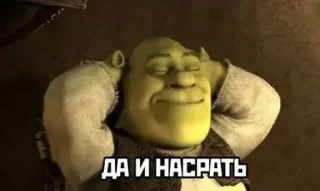 Video sticker 😏 Shrek | by @uffchat