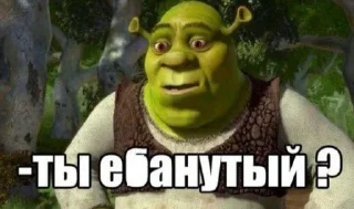 Sticker 🤷‍♂ Shrek | by @uffchat