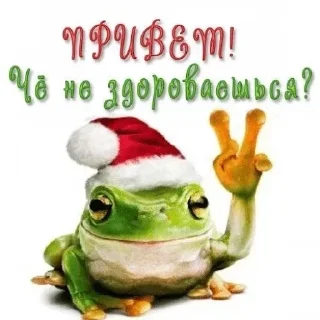 Video sticker 👋 Жабагеддон