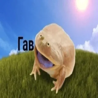 Video sticker 🤥 Жабагеддон