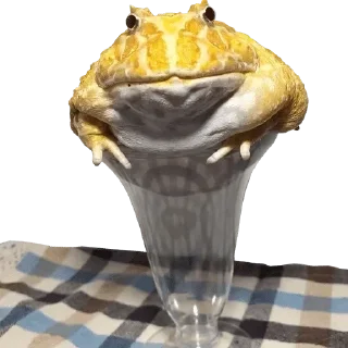 Telegram stiker 🤠 Жабагеддон