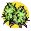 Sticker 🌿 @Kalaa0 x @BulldogDelivery
