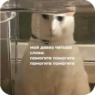 Telegram sticker 🖼 молочный ломтик