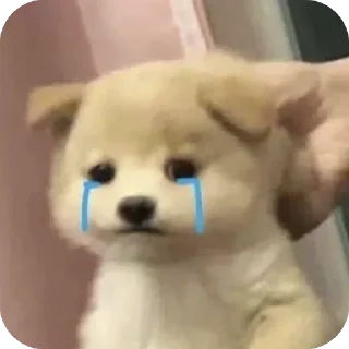 Video sticker 🫥 V ‘ @victxr07