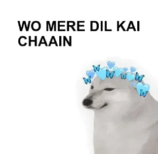 Telegram stiker ✔ 𝐓𝐄𝐀𝐌 𝐓𝐂𝐇𑂾 @TheChatHeaven 𑂾