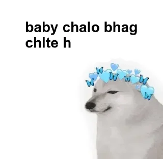 Telegram stiker ✔ 𝐓𝐄𝐀𝐌 𝐓𝐂𝐇𑂾 @TheChatHeaven 𑂾