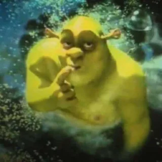 Video sticker 😏 welcome to my shreggsy swamp