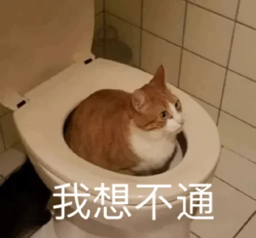 Telegram sticker 🚽 Cc stickers 2  @DOGBUYBUY