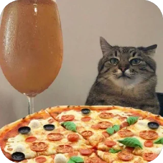 Sticker 🫥 @sleepyslark :: @fStikBot