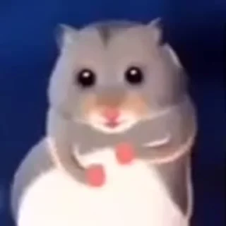 Video sticker 💃 Больше стикеров тут: @stikery_emodzi_memy