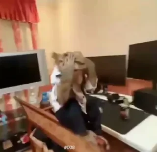 Video sticker 🤯 Больше стикеров тут: @stikery_emodzi_memy