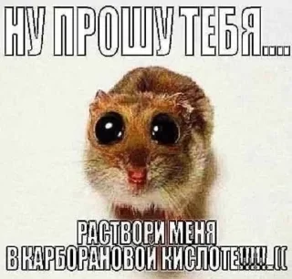 Telegram sticker 🥺 смерть приближается