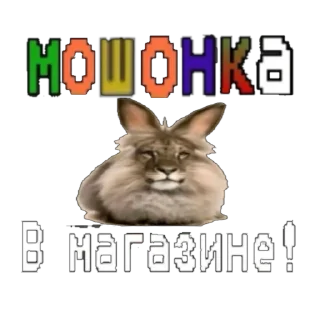Sticker ⚠️ мошонка