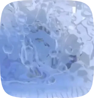 Video sticker 🌟 Секс Адам :: @fStikBot