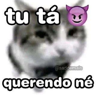 Telegram sticker 🌟 Eu si divirto 😹 @Picamolhada :: @fStikBot
