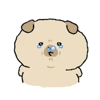 Video sticker ⭐ 똥강아지 동구