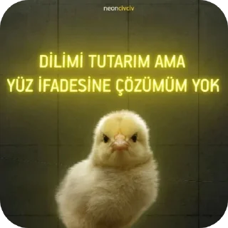 Telegram sticker 😀 fαтмα`ᥫ᭡&Çavşin 🐣