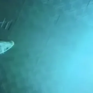 Video sticker 🍀 Больше стиков тут: @stikery4