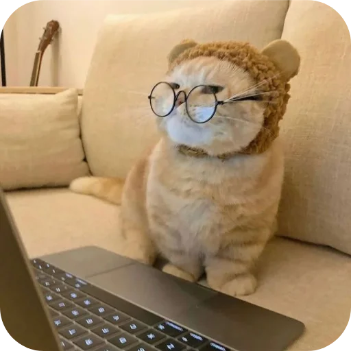Телеграм стикер 🐱 Cutiee