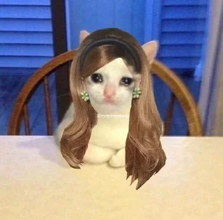 Video sticker 🌼 @babydollmusicbot Ari Memes