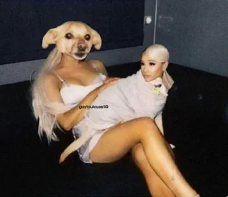 Video sticker 🌼 @babydollmusicbot Ari Memes