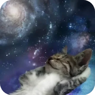 Video sticker 🐱 Sꪖbꪖ❀'s pack @voidmeanderer