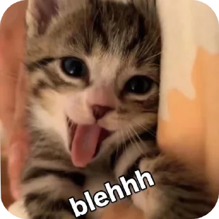Telegram sticker 😝 catz