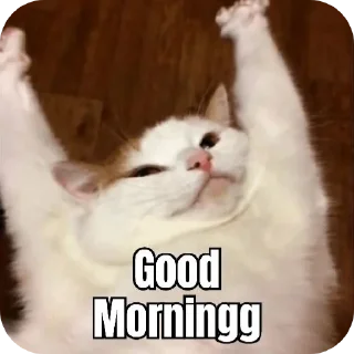 Telegram sticker 🥱 catz