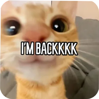 Telegram sticker ☺ catz