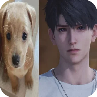 Telegram sticker 👍 mental problems and fantastic boobs.