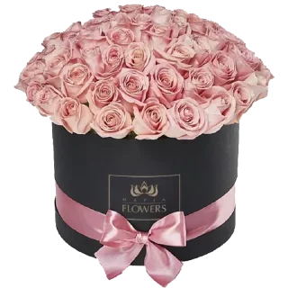 Video sticker 🌷 Больше стиков тут: @stikery4