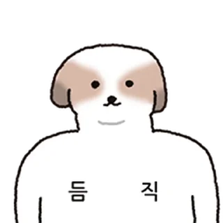 Video sticker ⭐ 시래기 와츄 @moe_sticker_bot