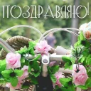 Video sticker 💐 VL•Lithuania17.1