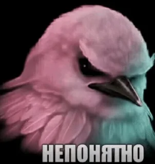 Telegram sticker 🌟 Вряд-ли :: @fStikBot