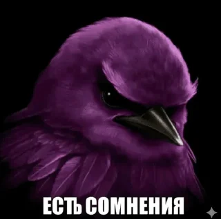 Video sticker 🌟 Вряд-ли :: @fStikBot