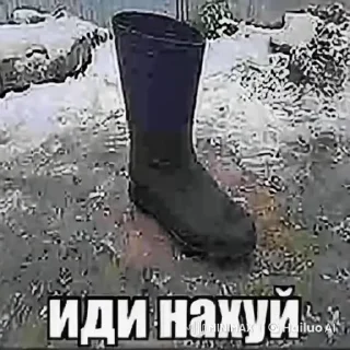 Video sticker 🖕 Голые жопы тут - @ponos_live