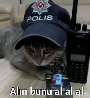 Telegram sticker 🐱 @BiR_TeK_SeN_80_01 @fireqanqUserBot Paketi 1