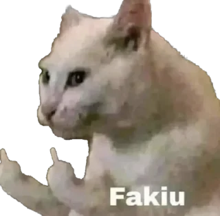 Telegram sticker 🖕 Stpdtwnk’s pussy pack