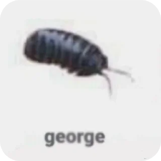Telegram sticker 🐞 Брэд Фридом 3 :: @fStikBot