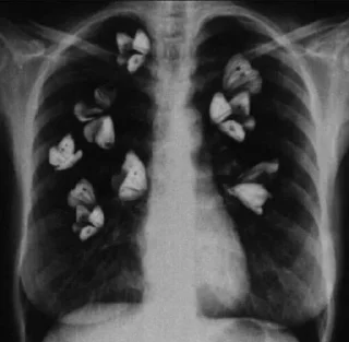 Video sticker 😩 كاترين